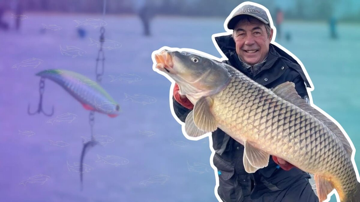     Автор: Алексей Коломиец Источник: novostivolgograda.ru