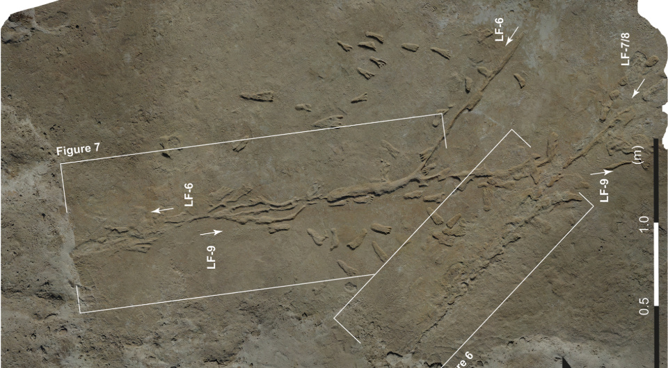   Matthew Bennett et al. / Quaternary Science Advances, 2025