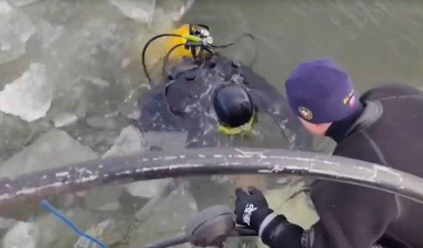    Источник фото: скрин видео