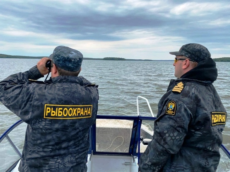 Рейд рыбоохраны