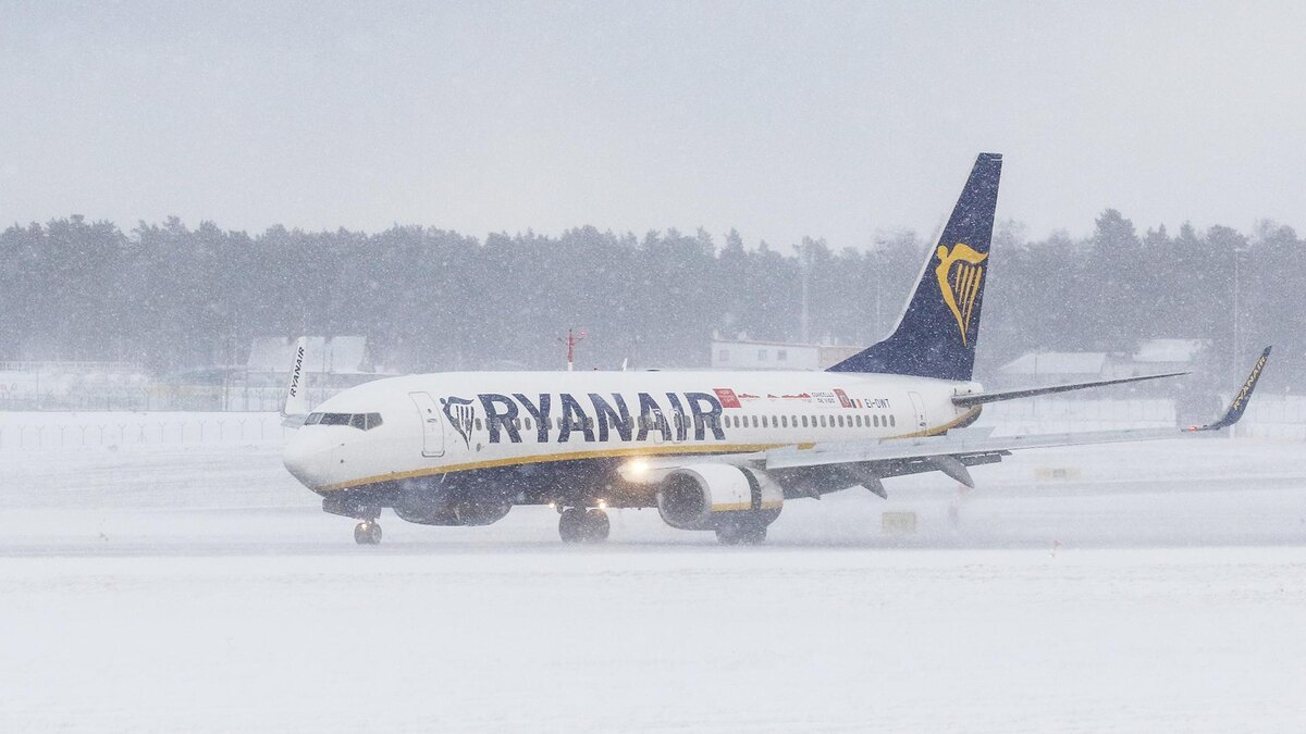    Фото: Michal Fludra/globallookpress.com