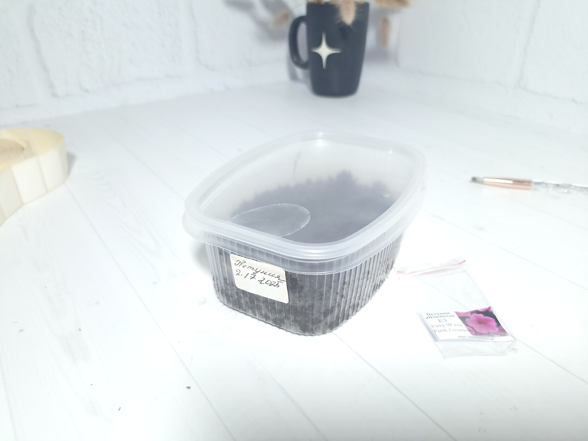 -12
