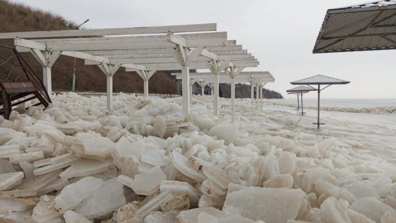    Фото: t.me/KambulovaSvetlana