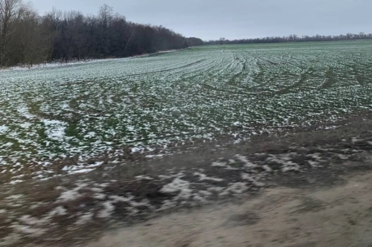    Верните снег!