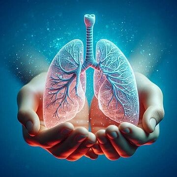 Картинка взята в качестве иллюстрации. Источник Pinterest