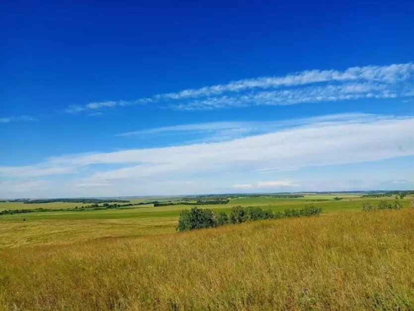 Фото: Евгения Александрова
