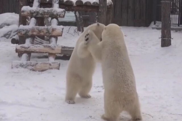 Фото: Telegram-канал АСТ-54 Black/ Очевидец📷Фото: Telegram-канал АСТ-54 Black/ Очевидец