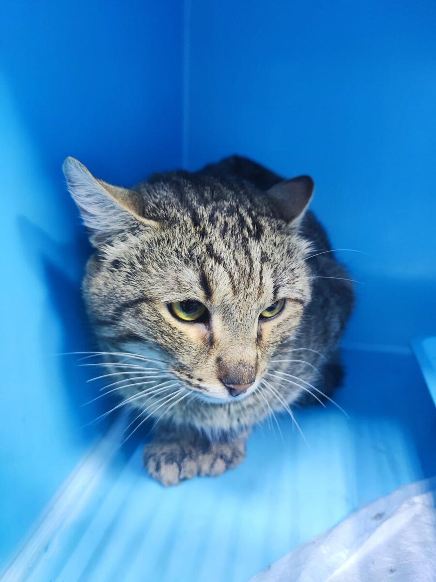 Был недоволен