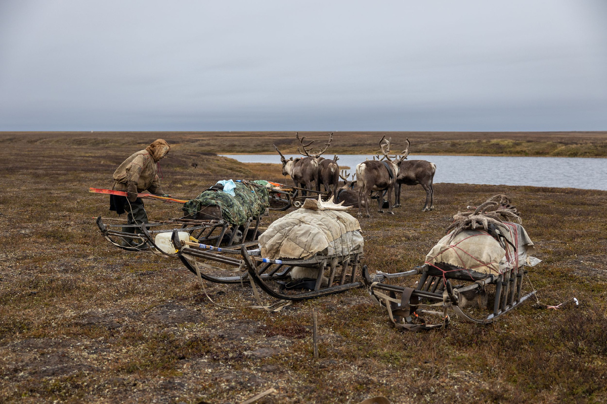 Фото: Воронов Фёдор/АНО «Ямал-Медиа»