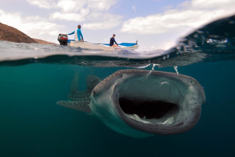    Один из победителей в 2022 году Husain Al Qallaf, hipa.ae