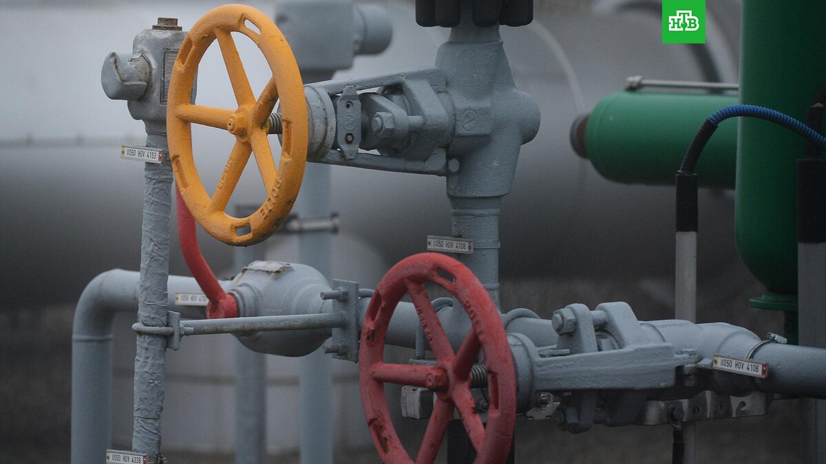    Фото: РИА Новости © 2025, Алексей Витвицкий