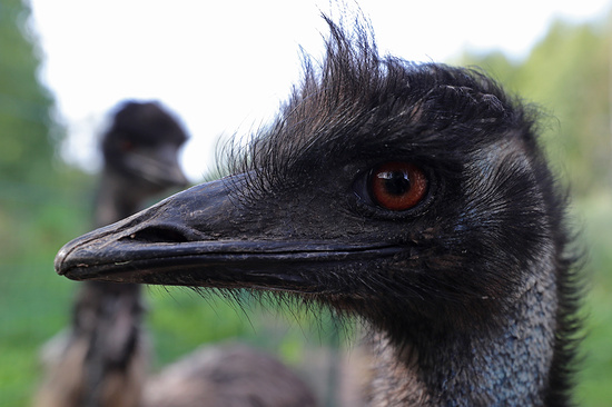 Автор: Александр Демьянчук/ТАСС