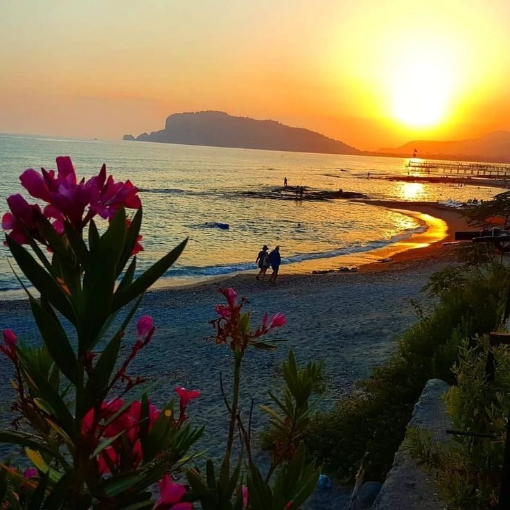 Турция . Аланья