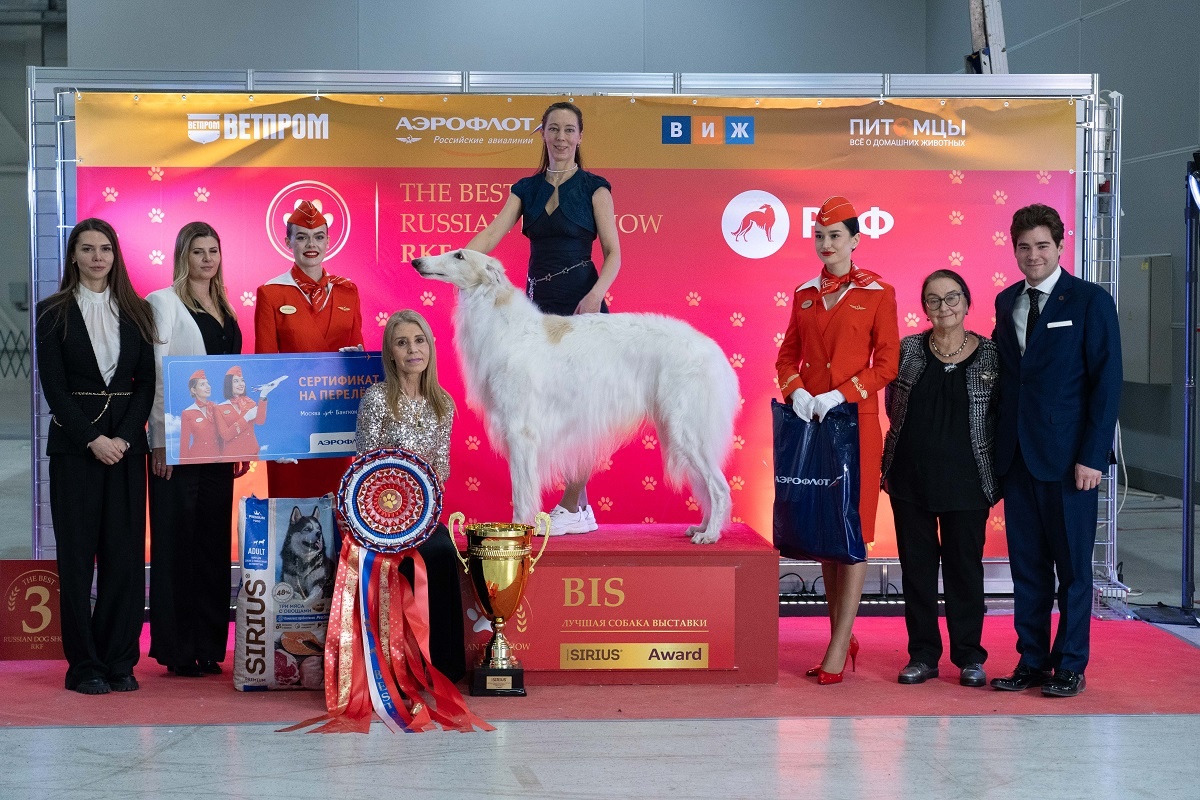 
Фото: Александр Плонский / «ВиЖ»