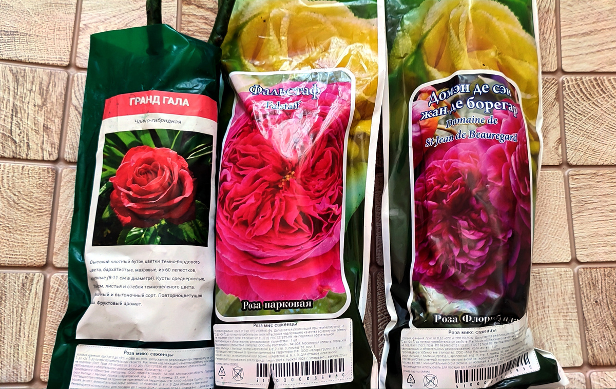 Цена одного саженца - 130 руб. 