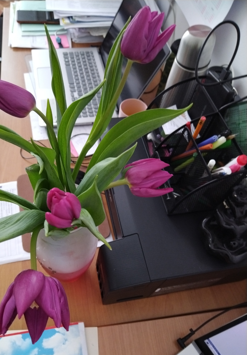 Весна уже рядом. Пусть наступит мир вместе с ней.