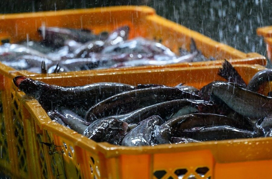     / Источник: ©РИА Новости/ Сергей Красноухов