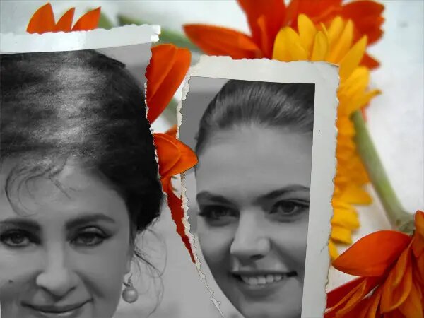 Автоор: В. Панченко