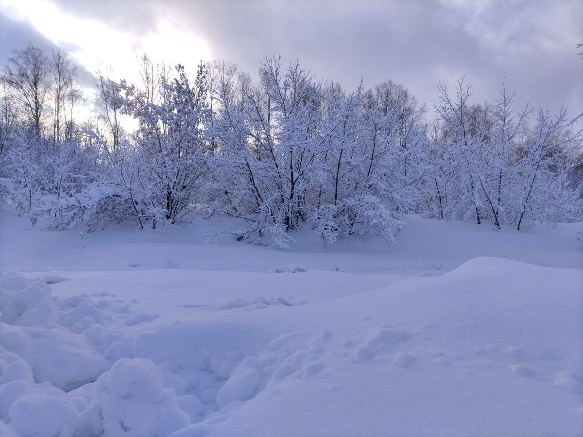 Фото автора.