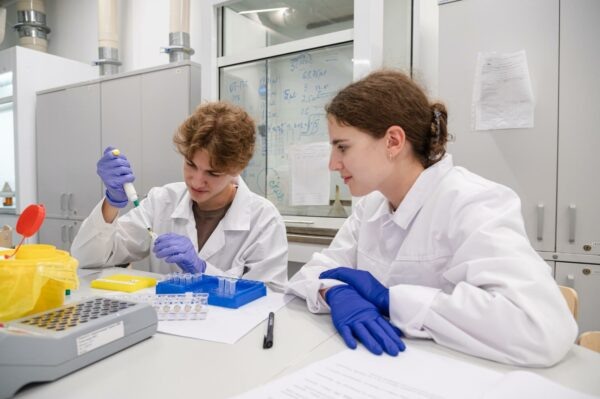    Фото: sochisirius.ru