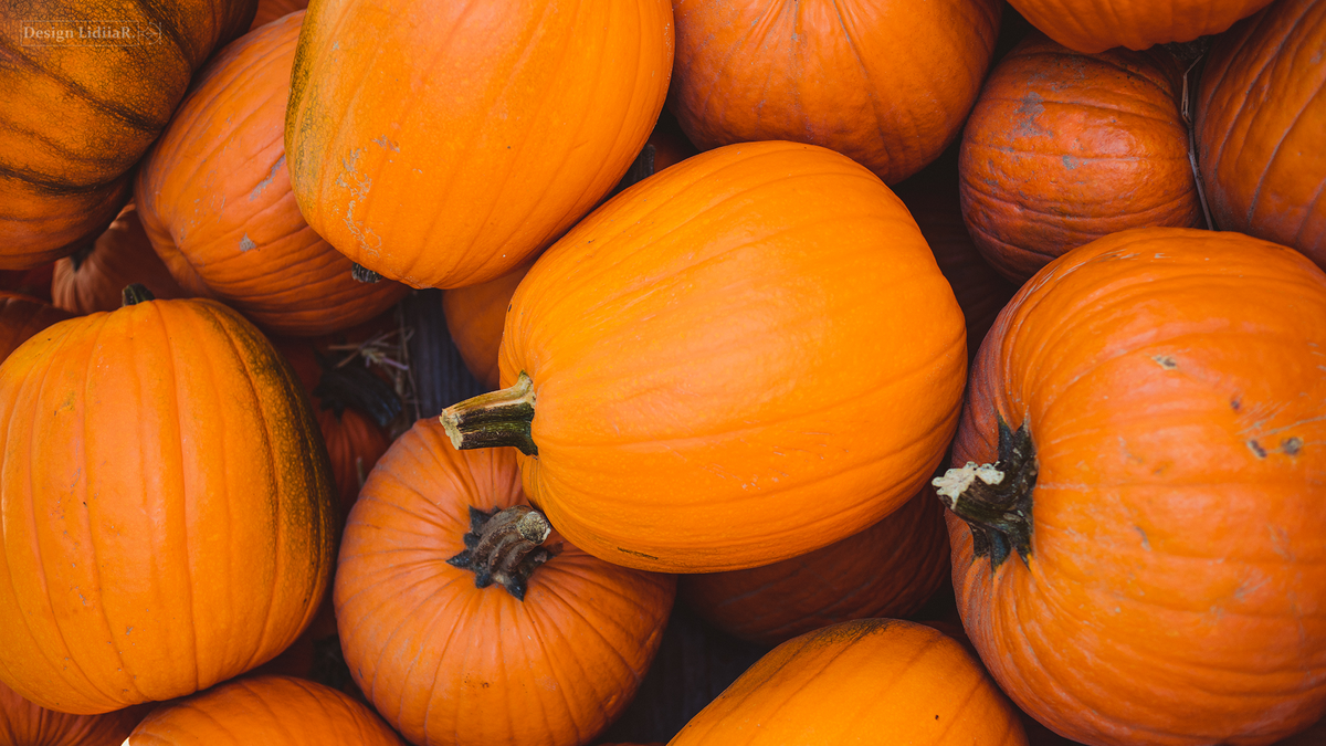 https://www.freepik.com/free-photo/pile-orange-pumpkin_13176353.htm#fromView=image_search_similar&page=1&position=3&uuid=be3d5e26-2fe7-41f3-bbad-d294e4e035fc&query=pumpkin