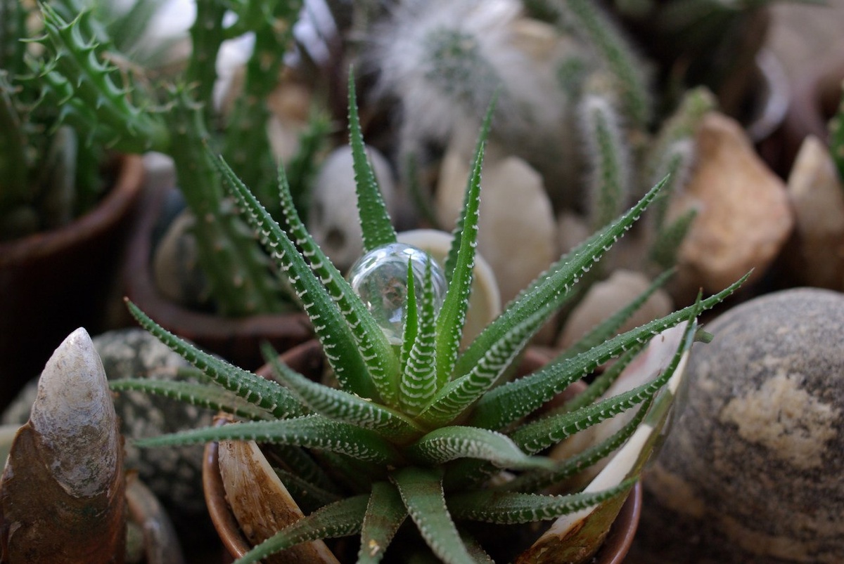 листать вправо