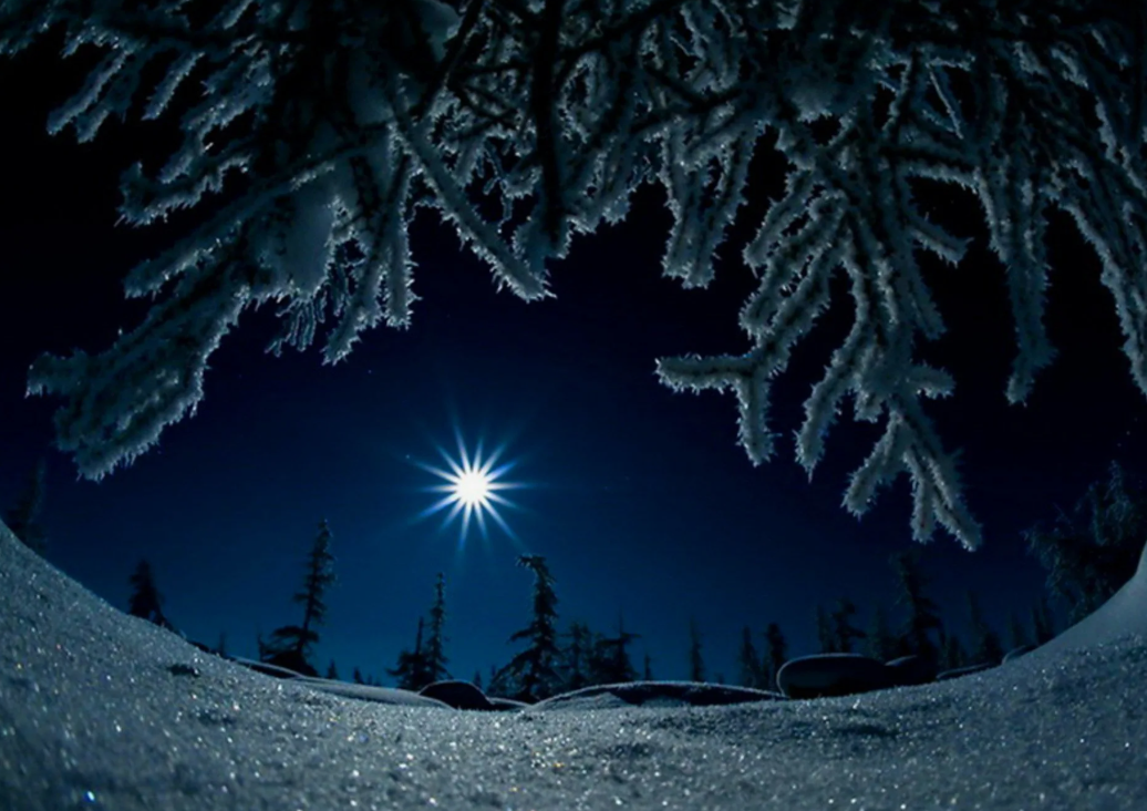 картинки Яндекс