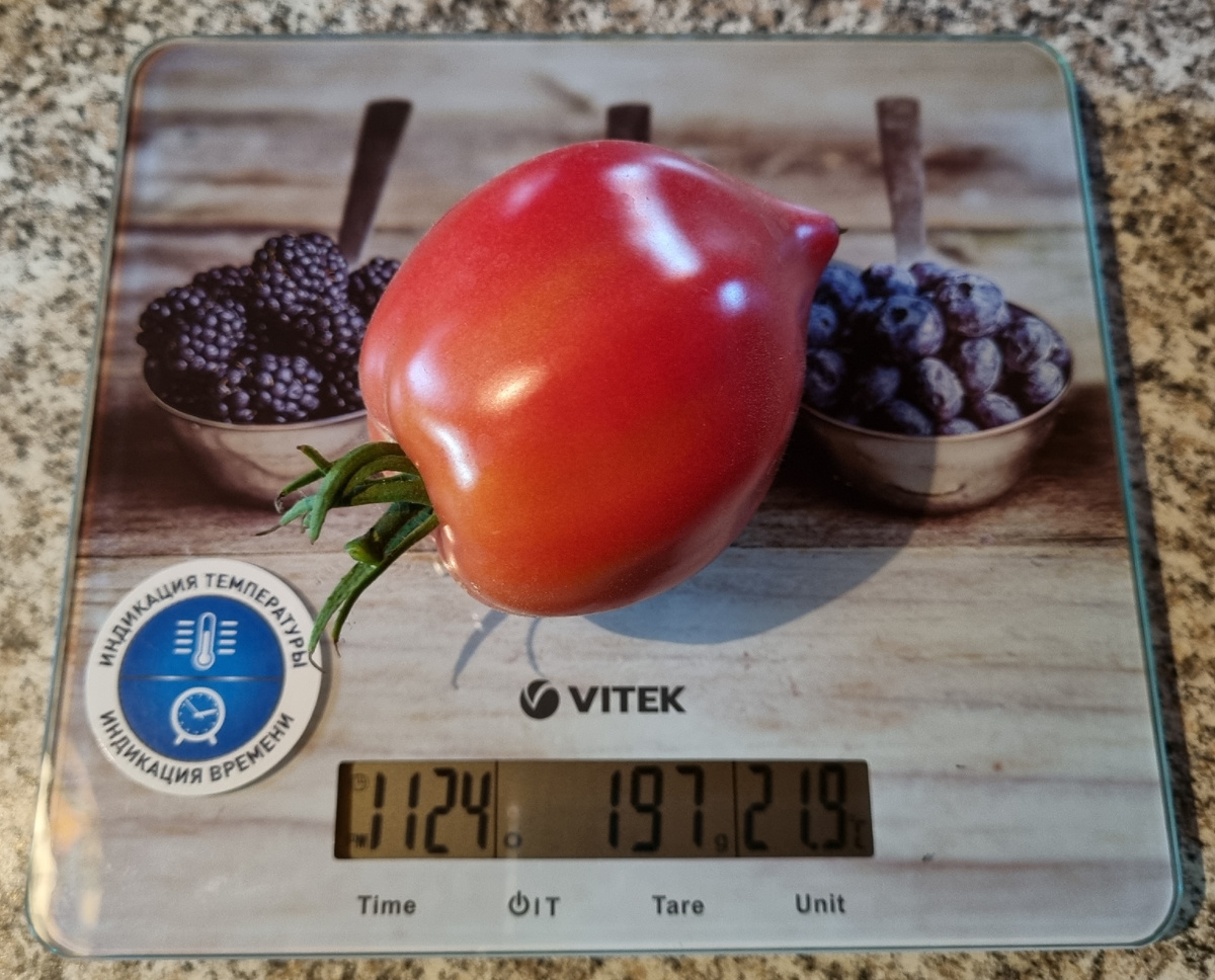 Фото автора.