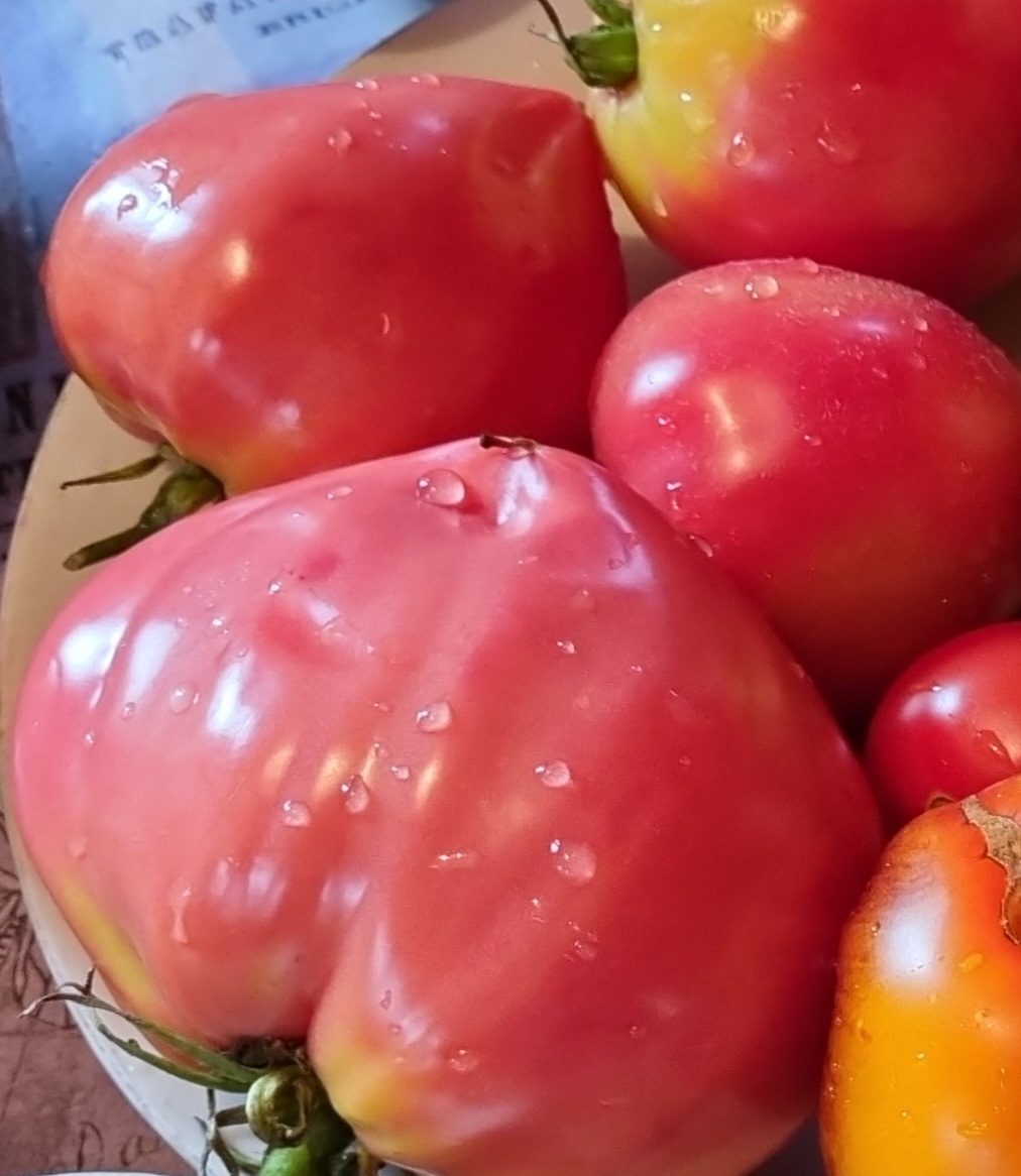 "Японка". Фото автора.