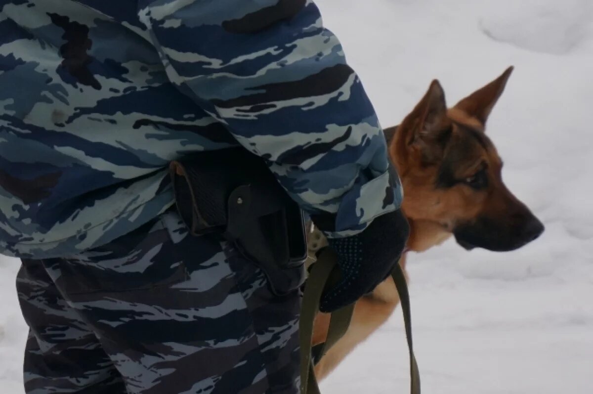    В Ижевске экс-полицейский осуждён за передачу компьютеров для майнинга