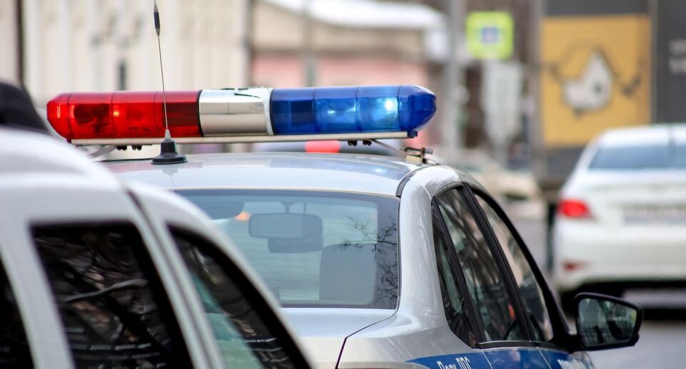    Elena Mayorova/Global Look Press