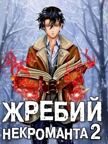 Цикл книг "Жребий некроманта" Евгений Решетов