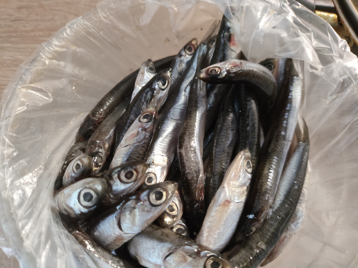 Глазастенькая )))