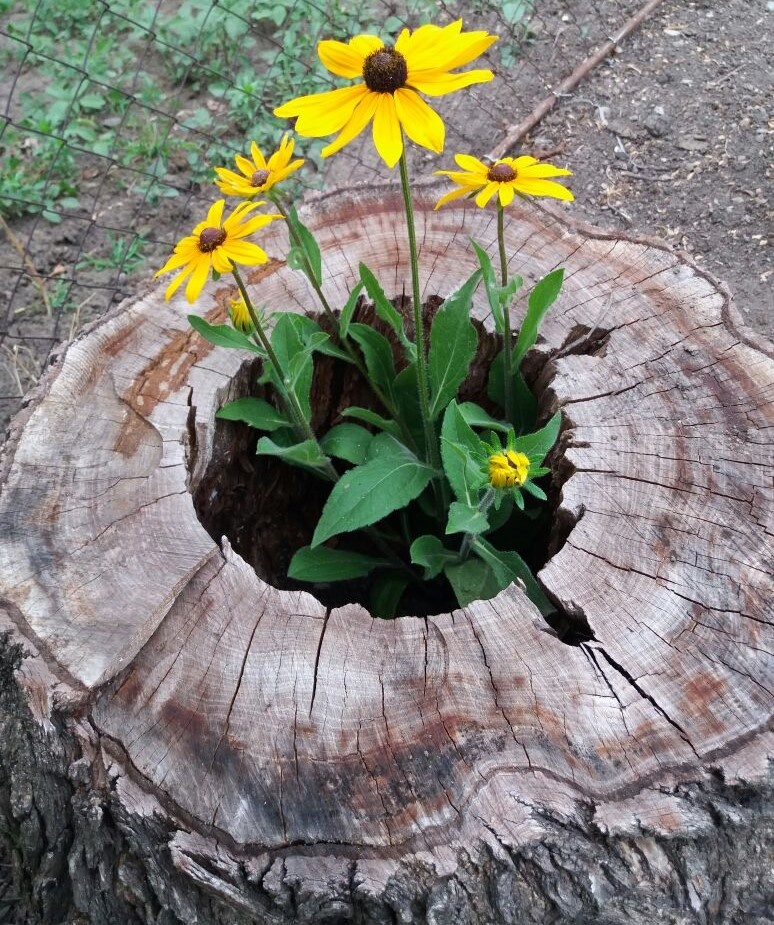 Просто фото