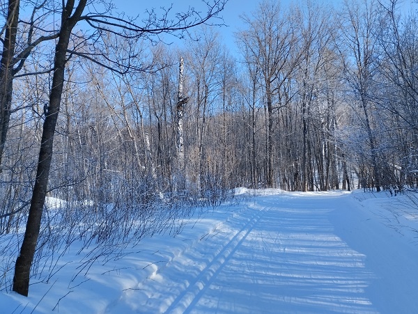 Фотография из личного архива автора