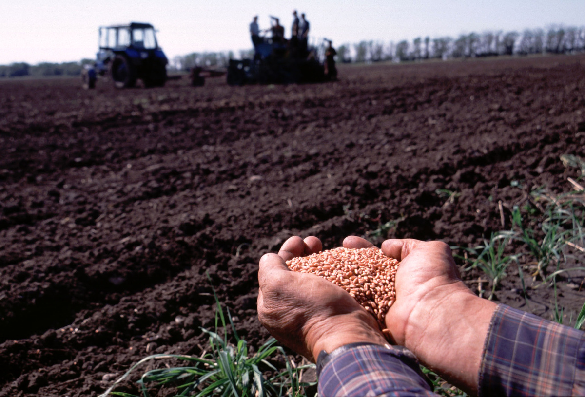 Фото: © Konstantin Tarusov/ Russian Look/ Global Look Press