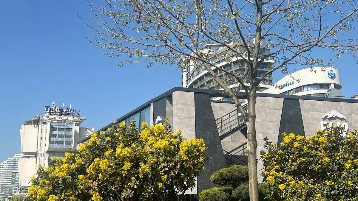     Источник: rostovgazeta.ru