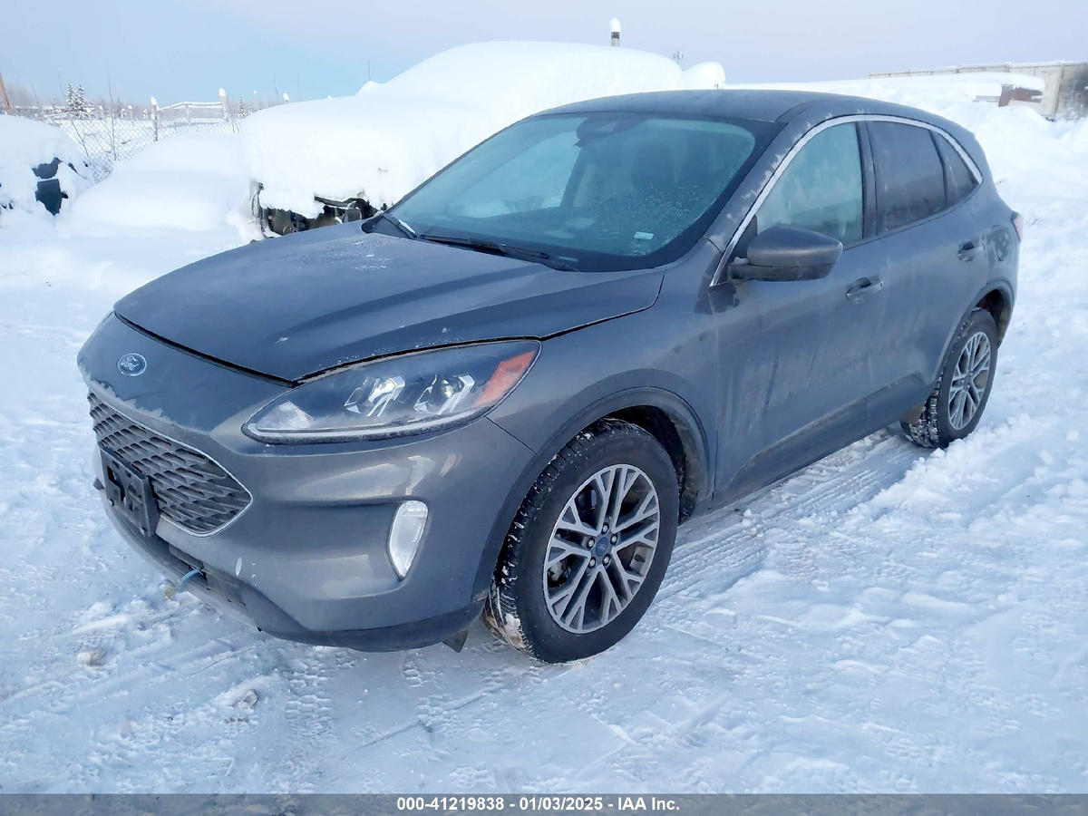 заказать Форд Эскейп из Америки