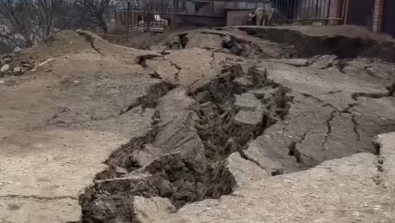      Фото: Telegram-канал Евгения Моисеева