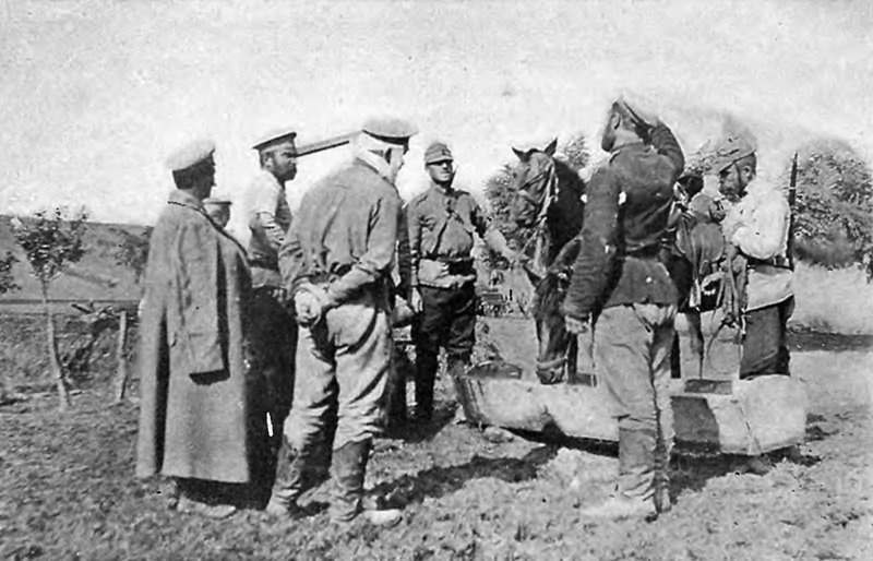 Русские и румынские солдаты в Добрудже. Из открытых источников