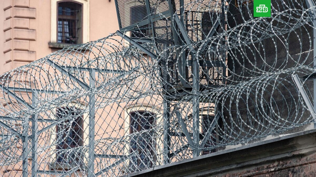    Фото: Pawel Czerwinski / unsplash.com