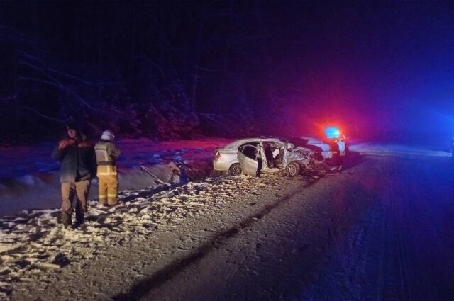    Место ДТП, в которое попали молодые хоккеисты под Ижевском. Фото: Госавтоинспекция Удмуртии