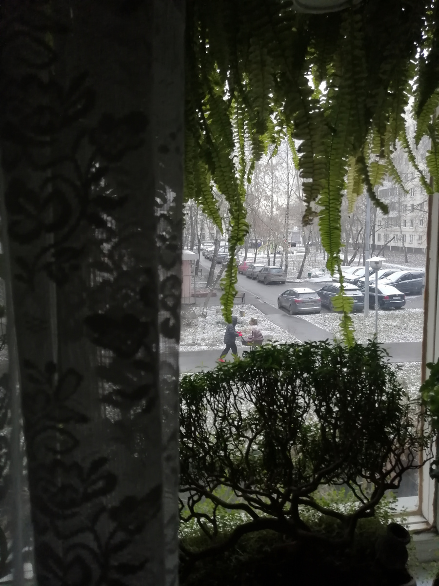 Мрачненько. Февраль в Москве