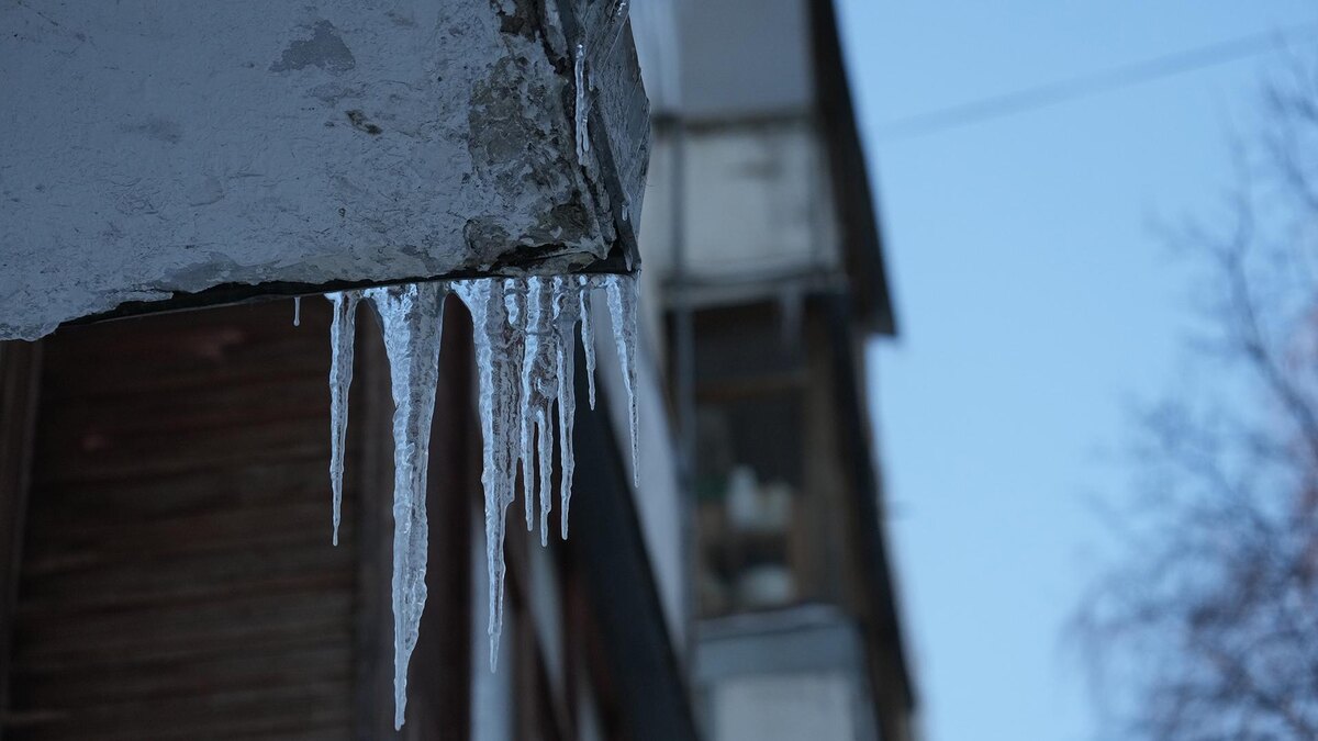    Фото: ИЗВЕСТИЯ/Дмитрий Коротаев