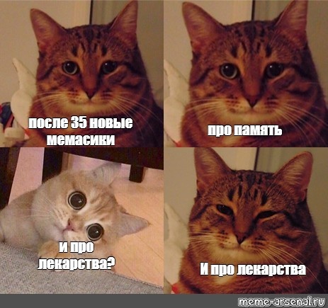Миф о «стареющей памяти»: как сохранить ясность ума в любом возрасте