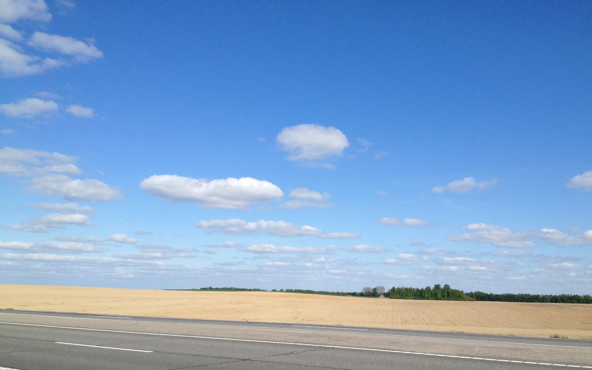 Поля готовые к посеву. Все обработано 