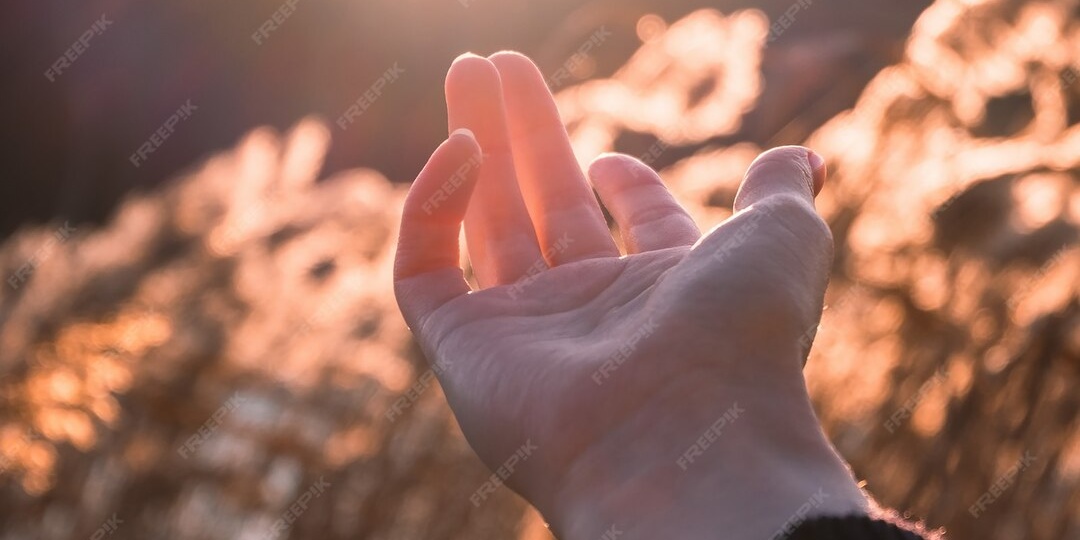 Начинаем погружение в интересную нелёгкую историю.