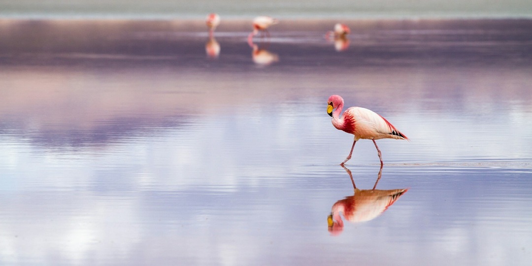 Фантастические пейзажи Земли: 10 самых необычных уголков планеты