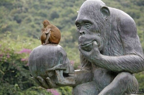 Иллюстрация из открытых источников в сети интернет.