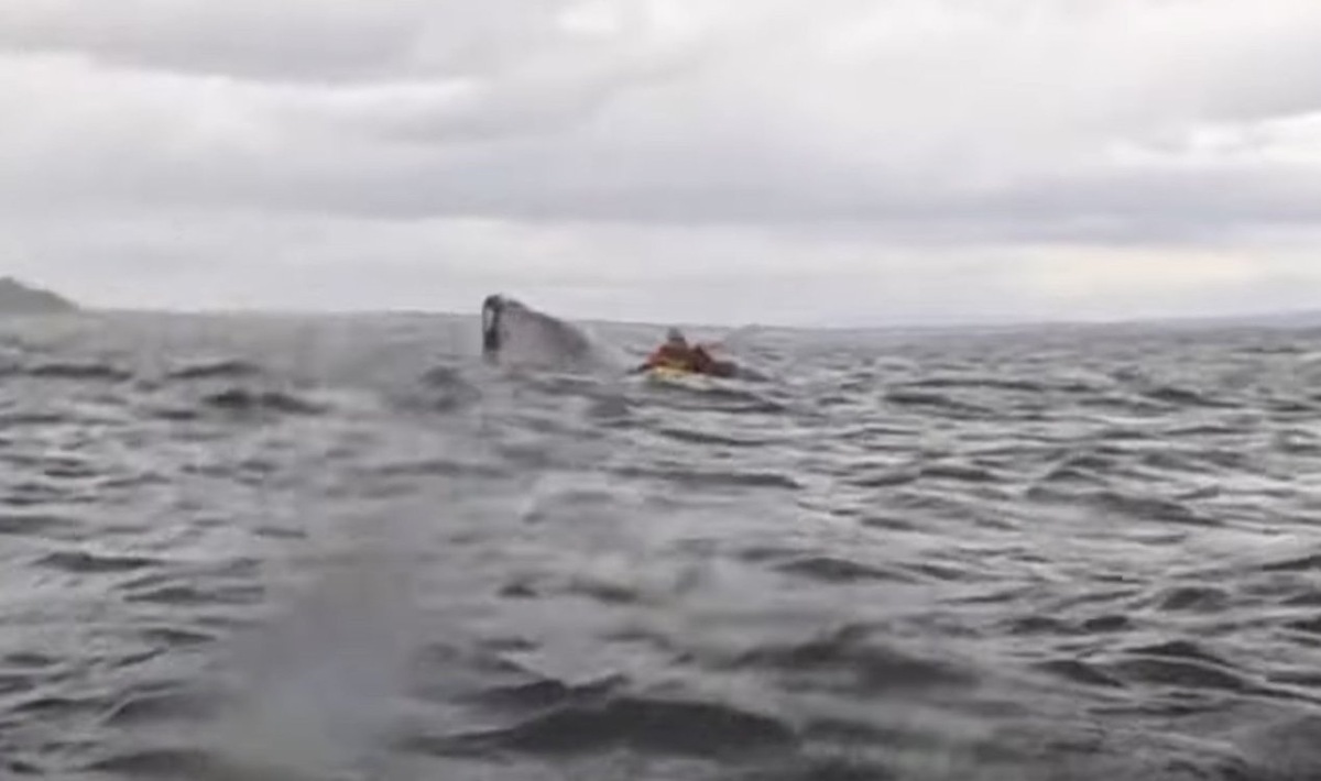 Каяк на короткое время полностью исчез из виду. Изображение предоставлено: Dell Simancas